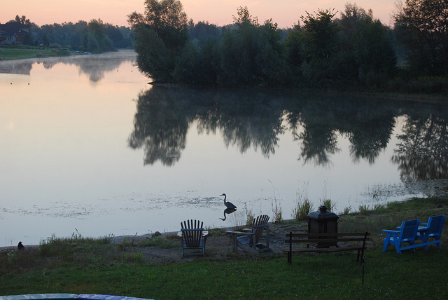 Cedar Lakes Update
